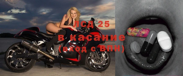 ГАЛЛЮЦИНОГЕННЫЕ ГРИБЫ Горняк