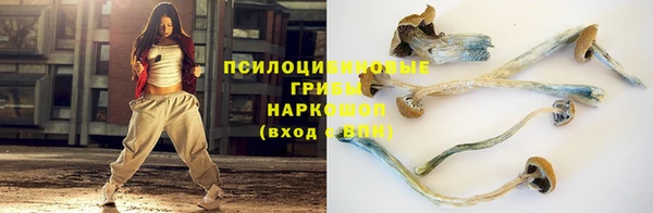 амф Горно-Алтайск