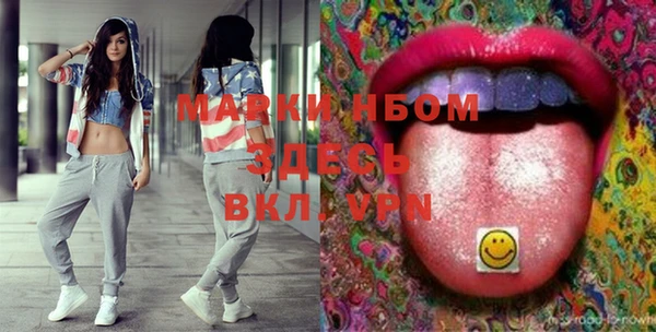 дмт Горнозаводск