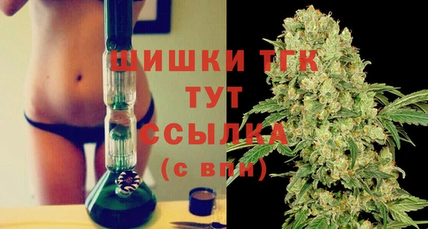 ГАЛЛЮЦИНОГЕННЫЕ ГРИБЫ Горняк