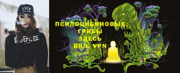 ГАЛЛЮЦИНОГЕННЫЕ ГРИБЫ Горняк