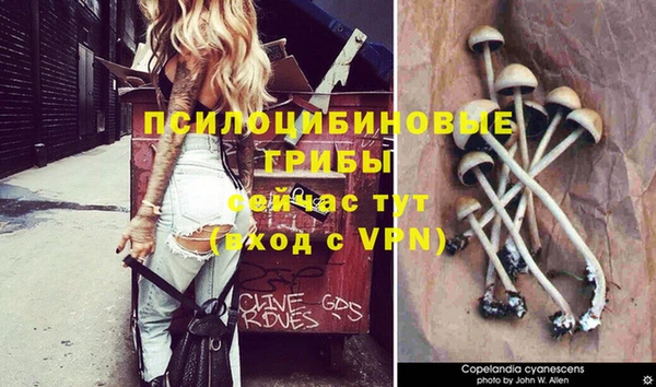 дмт Горнозаводск