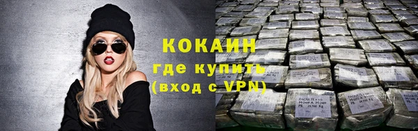 ГАЛЛЮЦИНОГЕННЫЕ ГРИБЫ Горняк