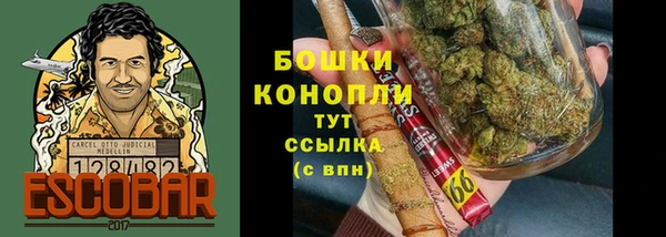 дмт Горнозаводск