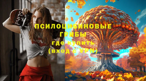 ГАЛЛЮЦИНОГЕННЫЕ ГРИБЫ Горняк